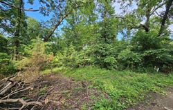 20 Ac Jesse James Road, Pineville, MO 64856