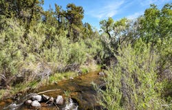 Tract C3 And C4 Lands of Clyde Smith, Jemez Springs, NM 87025