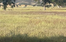 1 Jolon, Lockwood, CA 93932
