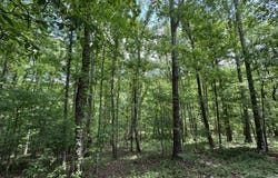 160 Scenic Circle, Ringgold, GA 30736