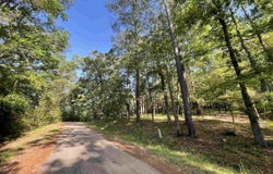 179 Woodsedge Drive, Brookeland, TX 75931