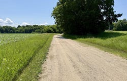 9433 11 Mile Road, Bear Lake, MI 49614