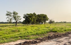 ELM BRANCH lot: 9, Elm Mott, TX 76640