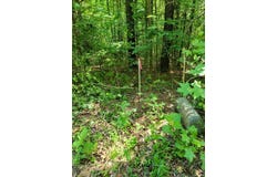 Windward Passage lot: 60, Bracey, VA 23919