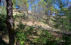 90 Hillcrest Dr, Lewiston, CA 96052