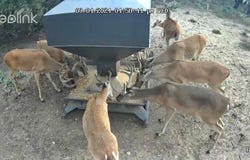 267 CR 112, Goldthwaite, TX 76844