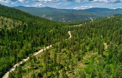 3124 ORIENT CUTOFF RD, ORIENT, WA 99160