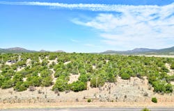 201 ENTRANOSA/ Lot 4 Road, Edgewood, NM 87015