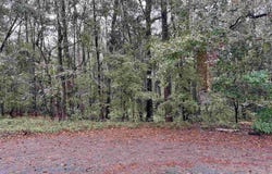 Creek Bottom Drive, Cayce, SC 29033