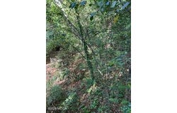 3746 Overlook Drive, Macon, GA 31204