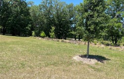 3176 NW 135TH WAY, GAINESVILLE, FL 32606