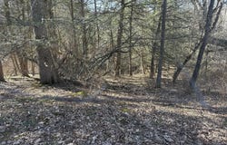 Newcomb Road, Litchfield, CT 06759