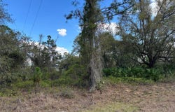 74 BALDUR DRIVE, PORT CHARLOTTE, FL 33954