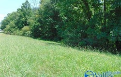 01 Gordon Terry Parkway, Decatur, AL 35601