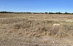 Noah (C-2) Lane, Belen, NM 87002