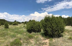 0.122 Acre Storrie Road, Las Vegas, NM 87701