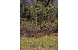 Lot 5882 Tumbleweed Drive, Long Pond, PA 18334
