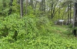 124 Cadillac Avenue lot: 119-120 & 143-144, Houghton Lake, MI 48629