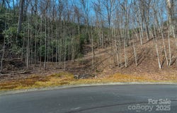 0 Shining Rock Path 11, Horse Shoe, NC 28742