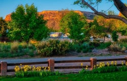 440 Meadows Way, Grand Junction, CO 81507