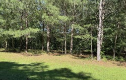 WRIGHT WAY DRIVE, WEDOWEE, AL 36278