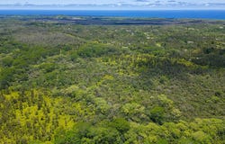 PAHOA KALAPANA RD, Pahoa, HI 96778