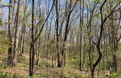 0 Klausmeier Rd, Wright City, MO 63390