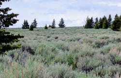 127 Panorama Drive, White Sulphur Springs, MT 59645