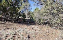 2316 Thunderbird Circle, Overgaard, AZ 85933