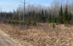 ON CTH F, Park Falls, WI 54552