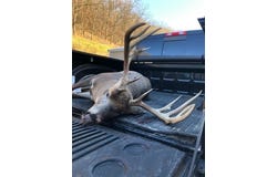 151.68+/- Acres Rattlesnake Road, Cassville, WI 53806
