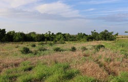 N 2550 Rd E 0920 Rd, Arapaho, OK 73620