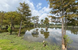 0 Whitewood Rd., West Monroe, LA 71291