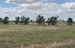 10412 Private Rd 5860, Shallowater, TX 79363