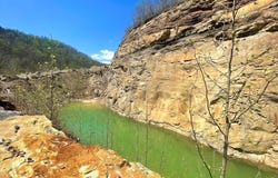 100 Little Birch Rd, Little Birch, WV 26601