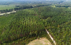 347 Peachtwig Road, Monetta, SC 29105