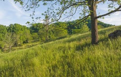 Lots 10 Big Springs Road, Eidson, TN 37731