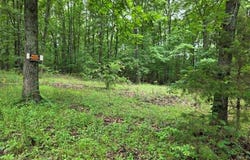 951 County Road 514, Wappapello, MO 63966