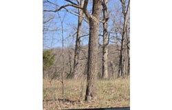 000 Riverside Drive, Mammoth Spring, AR 72554