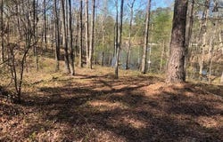 W POINT DRIVE lot: 2 & 3, Arley, AL 35541
