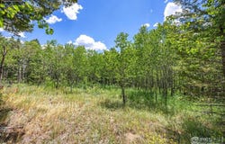 1568 County Road 103, Nederland, CO 80466