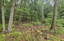 SLOCUM Road, Wapwallopen, PA 18660