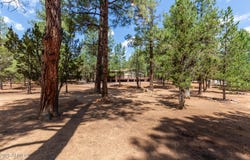 2884 Pine Rim Road, Overgaard, AZ 85933