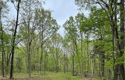 000 Hank Lane, Dixon, MO 65459