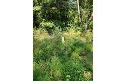 80 acres Calhoun 199 Road, Hampton, AR 71744