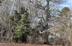 100A W Main St, Westminster, MA 01473