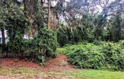 5377 CUSTER Street, Keystone Heights, FL 32656