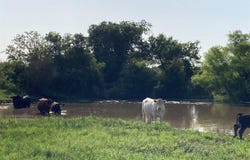 0 Tbd Hcr 1414, Covington, TX 76636