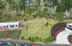 Mountain Ash, Eugene, OR 97405