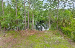 260 326th St, Suwannee, FL 32680